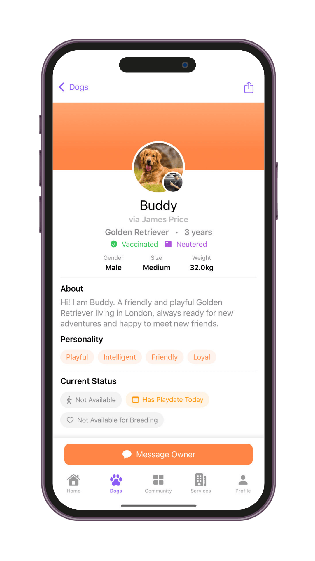Dogs Feature